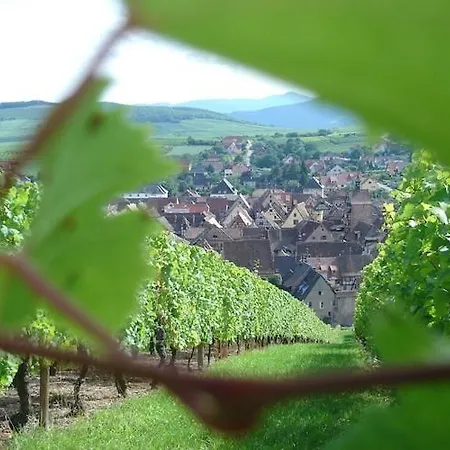 Apartment In Riquewihr With Terrace, Cleaning Included Διαμέρισμα