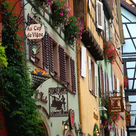 Διαμέρισμα Apartment In Riquewihr With Terrace, Cleaning Included Ρικβίρ