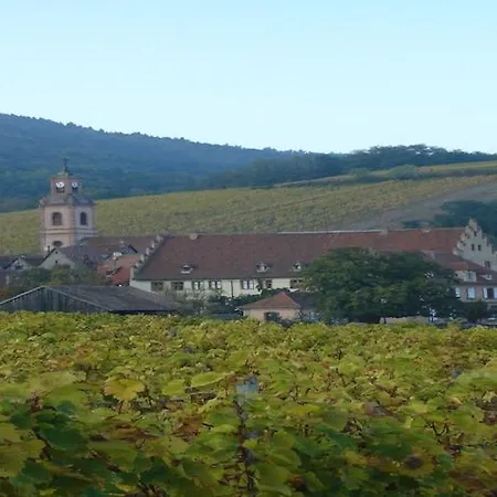 Apartment In Riquewihr With Terrace, Cleaning Included