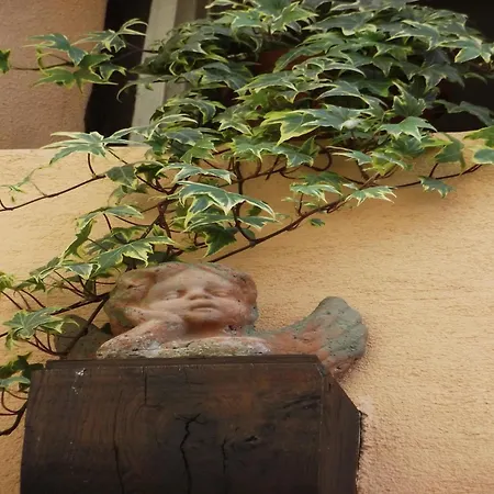 Apartment In Riquewihr With Terrace, Cleaning Included * Ρικβίρ